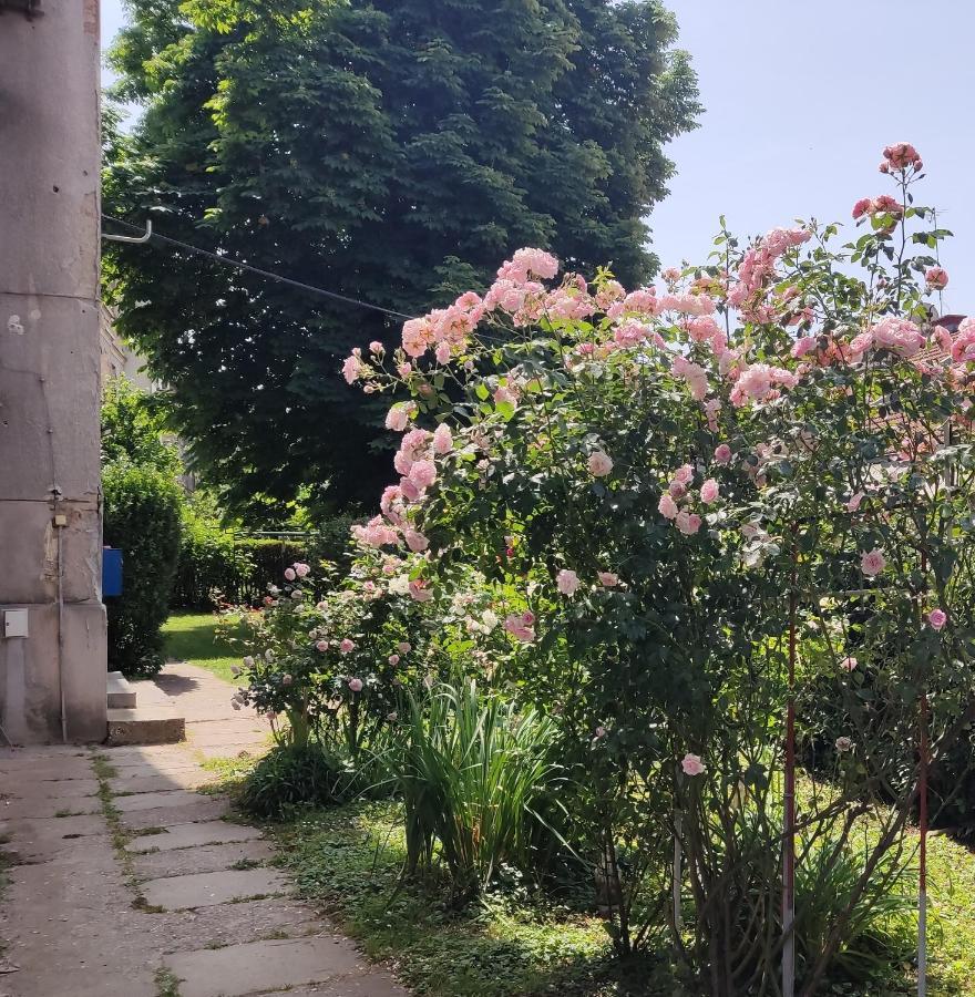 Petit Coco Daire Zagreb Dış mekan fotoğraf